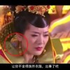 牛气冲天一肖一码